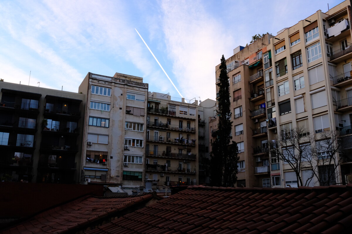Barcelona rooftops seen from Rob&rsquo;s apartment terrace, apartment blocks and a cypress tree under a contrail-streaked sky.