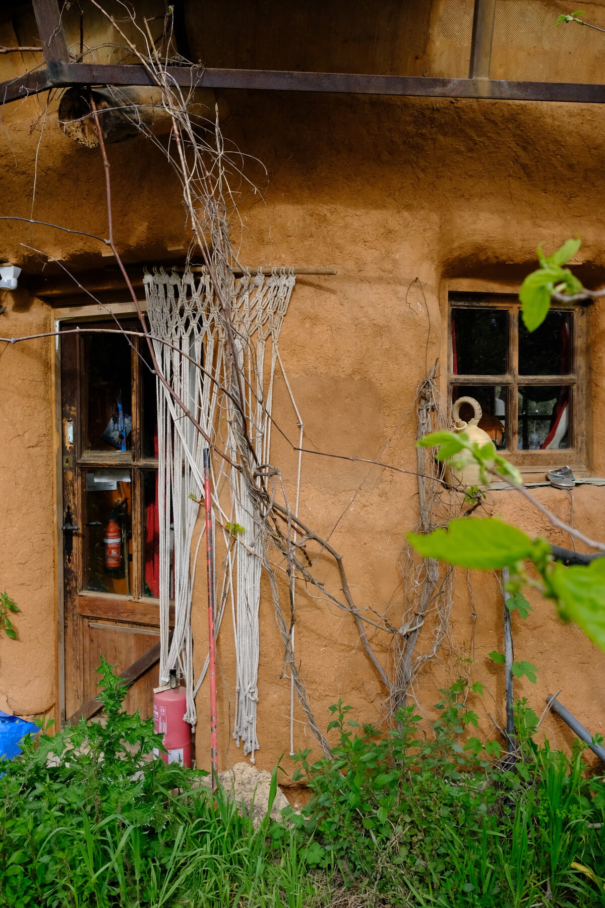 A cob and adobe building facade with earth-toned walls, a bare climbing vine, and a small window, surrounded by green growth.