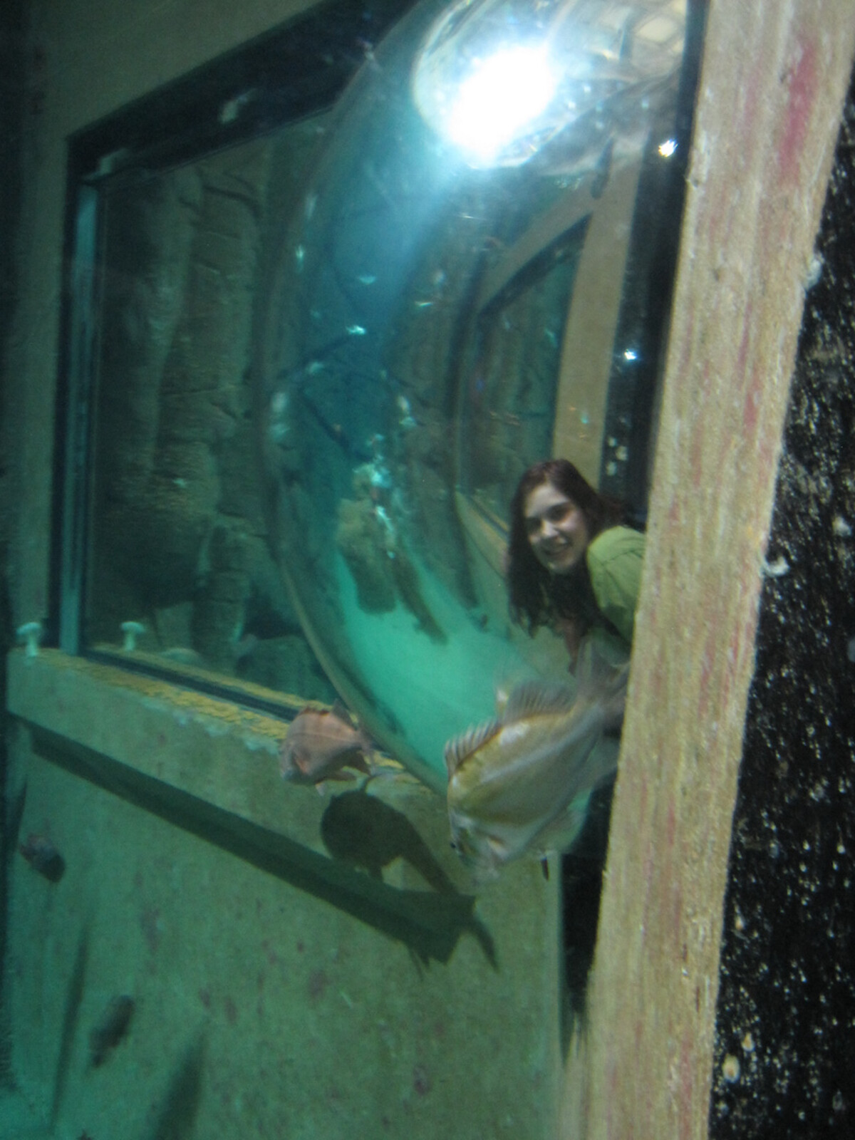 Woman with dark red hair and a green top, smiling as she peers through a large bubble viewing window at an aquarium, turquoise water and fish behind her.