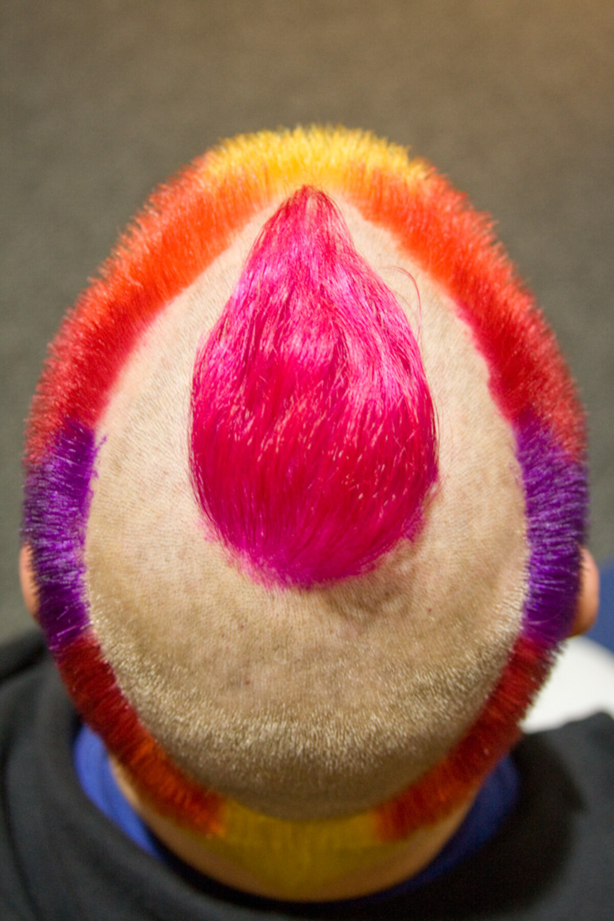 Bird's-eye view of Rob's head showing concentric color rings: hot pink teardrop shape at the crown center, a shaved ring around it, then bands of orange, red, yellow at the front, and purple at the temples.