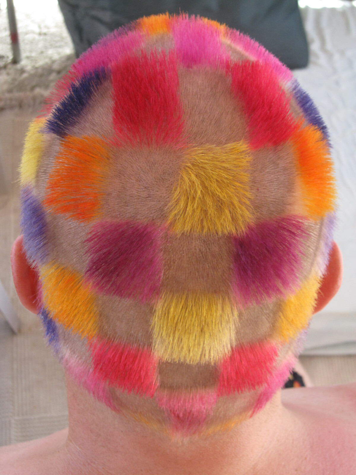 Back view of the same checkerboard hair: a full grid of pink, red, orange, yellow, and purple squares covering the head from crown to nape, precisely dyed with clean edges.
