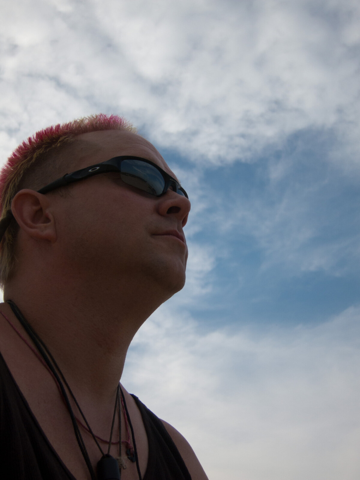 Rob in profile from below against clouds, wearing sunglasses and a pendant necklace, pink mohawk strip visible atop his shaved head.