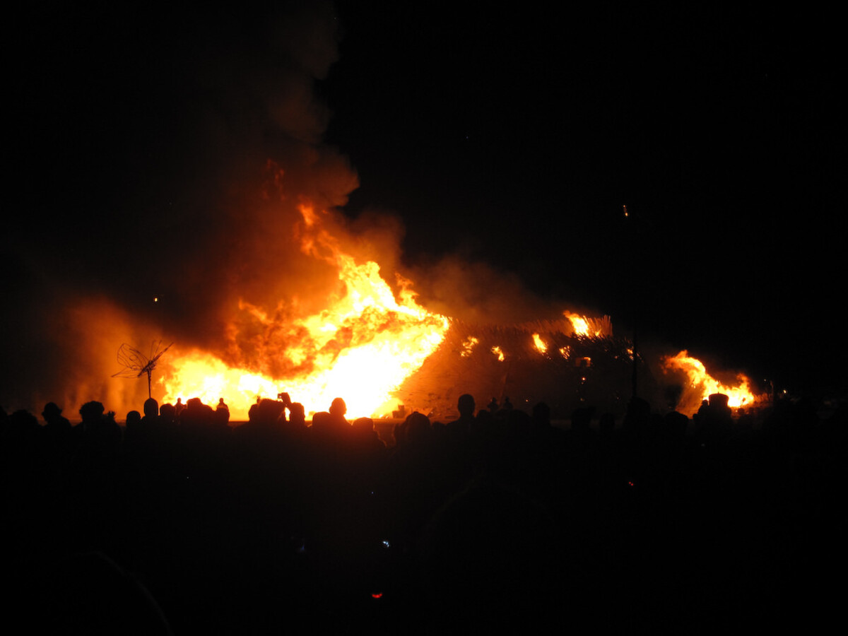 The 2010 Burning Man temple engulfed in massive flames at night, smoke billowing into black sky, the crowd a line of pure silhouettes along the bottom of the frame, a wire insect sculpture visible on the left.