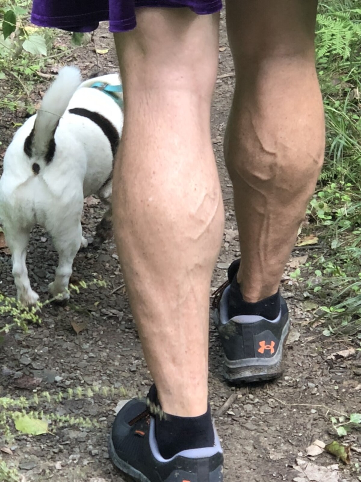 Close-up from behind of Rob&rsquo;s bare, muscular calves below the hem of a purple kilt as he walks a muddy English trail, a Jack Russell terrier alongside him.