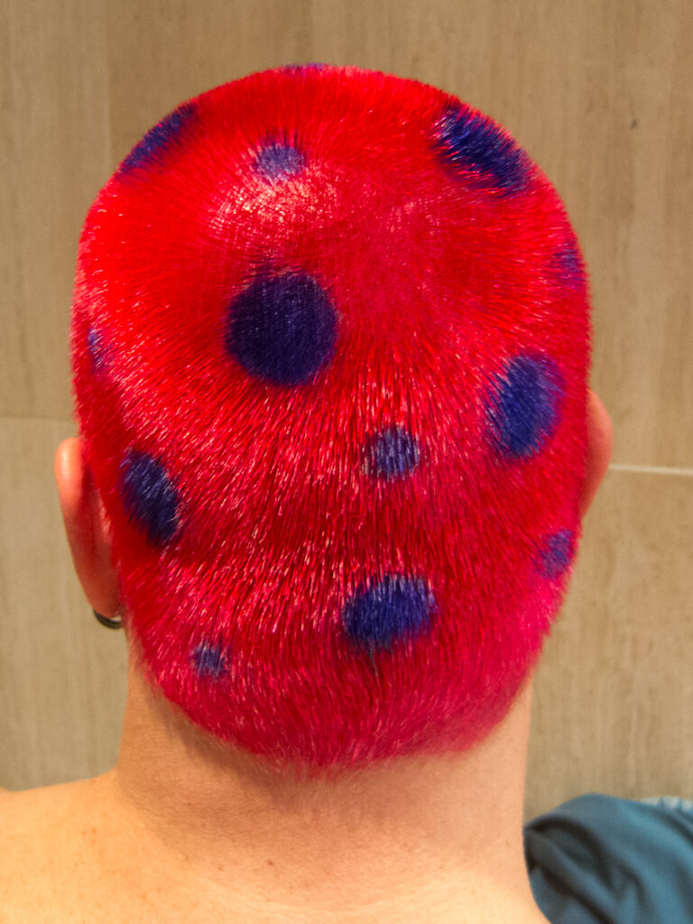 Back of Rob's head showing hot pink buzzed hair covered in dark blue-purple polka dots of varying sizes, evenly scattered across the entire scalp. Black earring visible.
