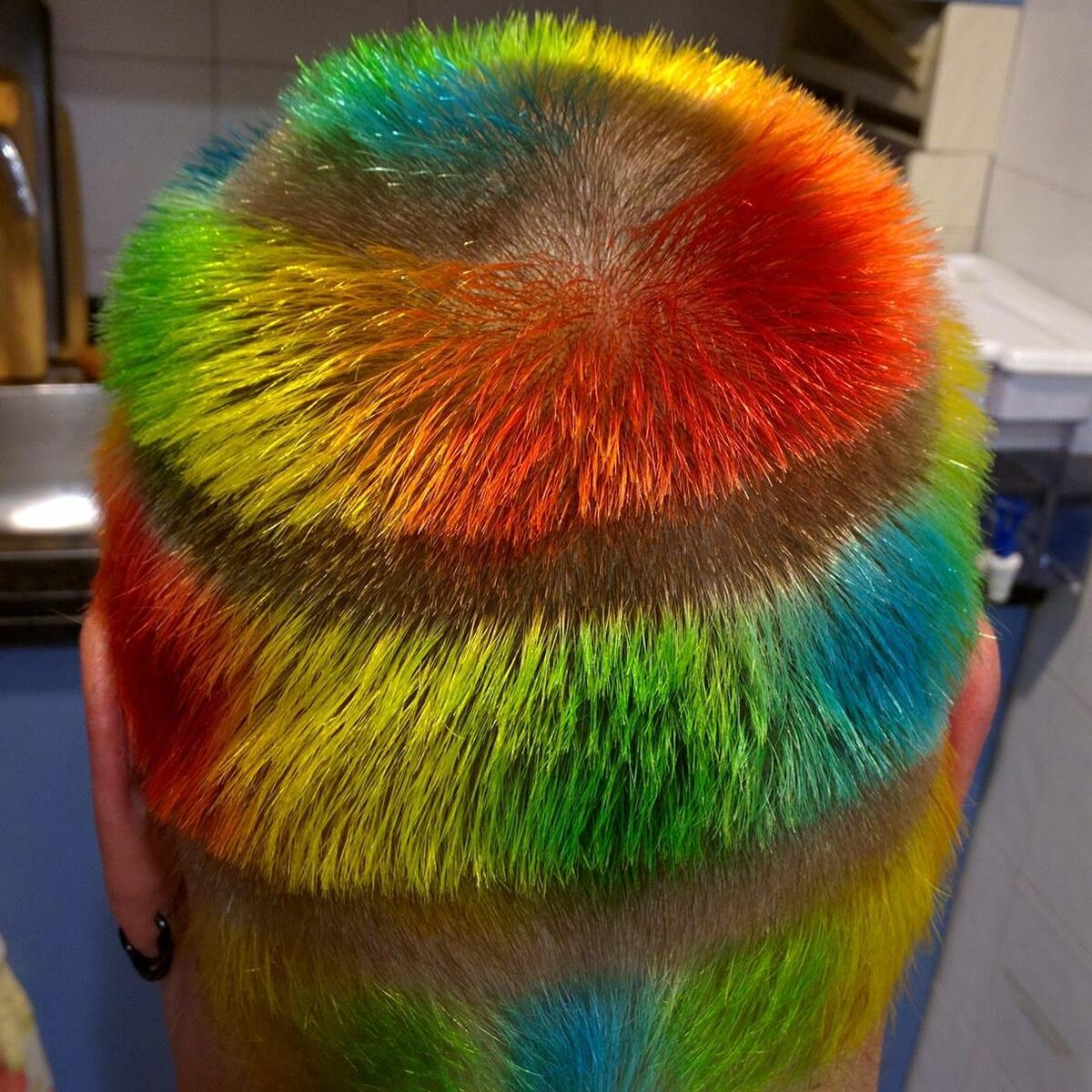 Back of Rob's head with a rainbow spiral radiating from the crown: bands of green, teal, yellow, orange, and red curving outward in concentric arcs over buzzed hair. Black earring visible.
